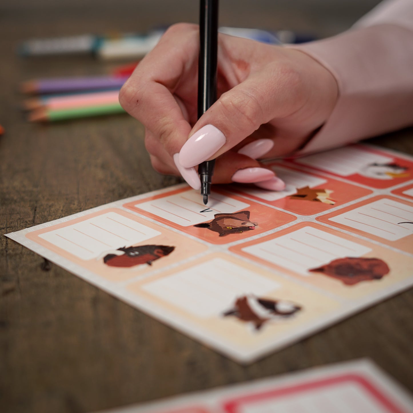 Animal Name Tag Stickers – African Wildlife